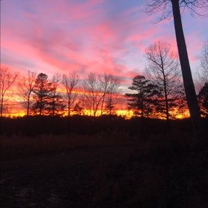 Meet your Posher, Ally